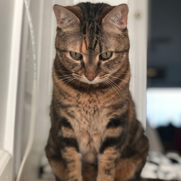 Meet your Posher, Andrea - Picture 6 of 16